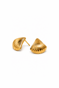 SHELL STUDS