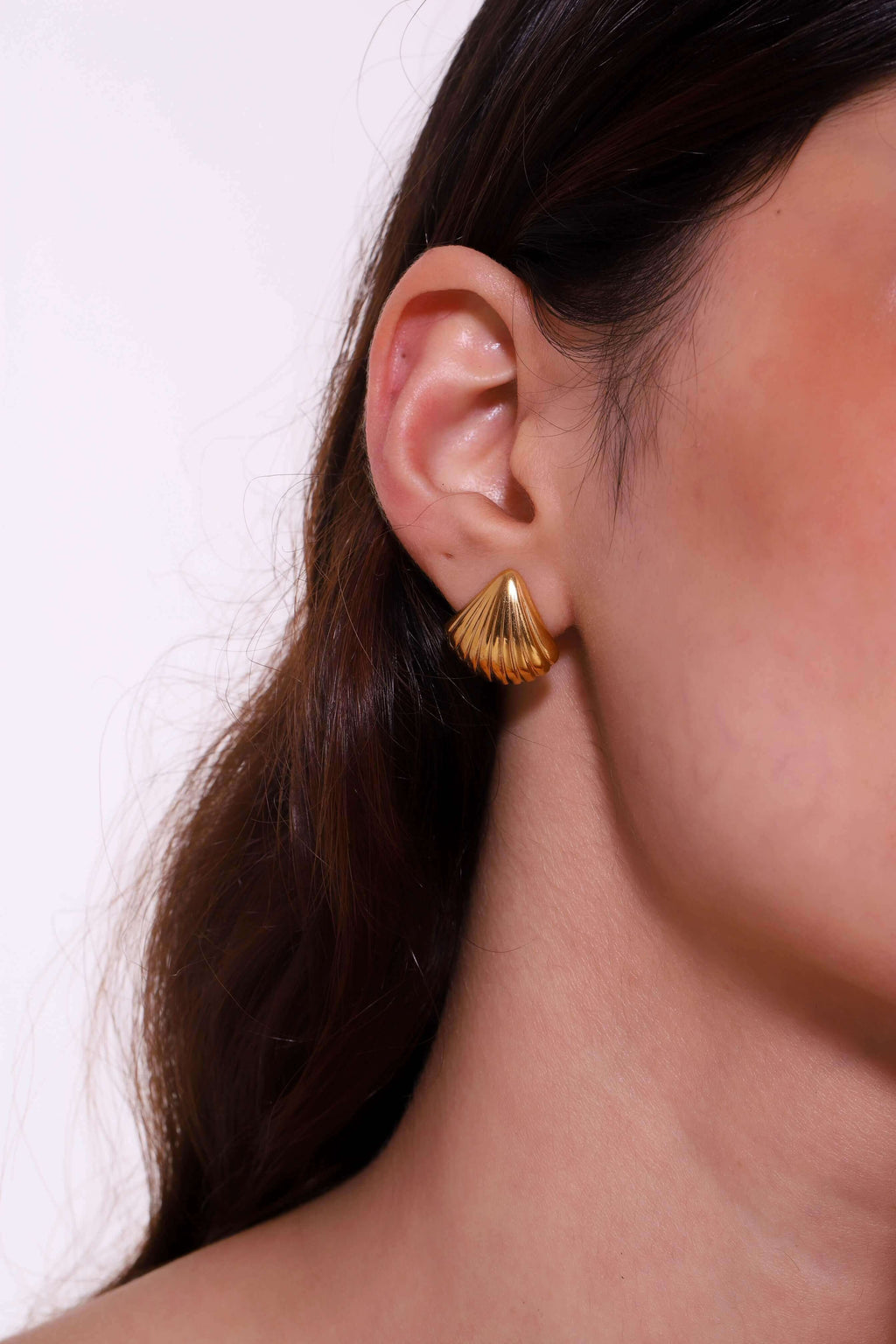 SHELL STUDS